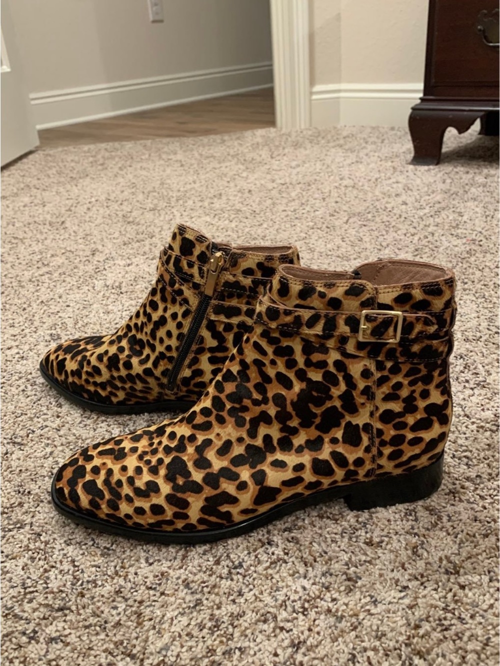 J.Jill Leopard Booties